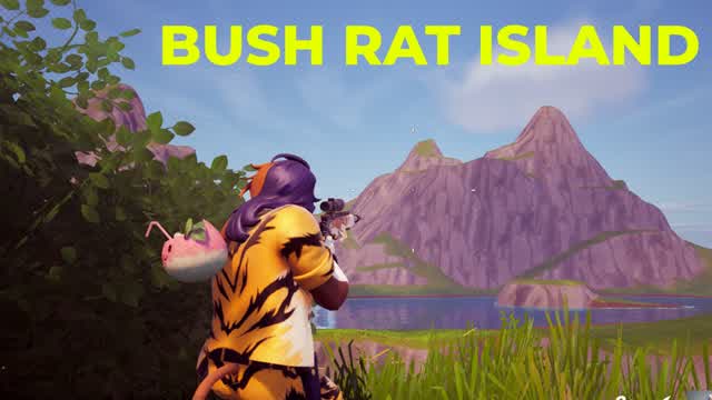 Bush Rat Island