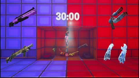 BLUE VS RED ARENA