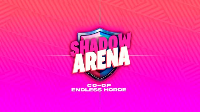 Capture 1 – SHADOW ARENA