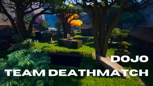 TDM DOJO