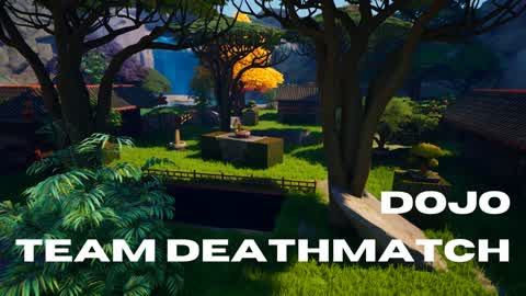 TDM DOJO