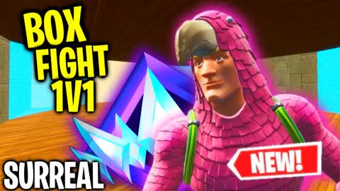 BOX FIGHT 1V1 SURREAL