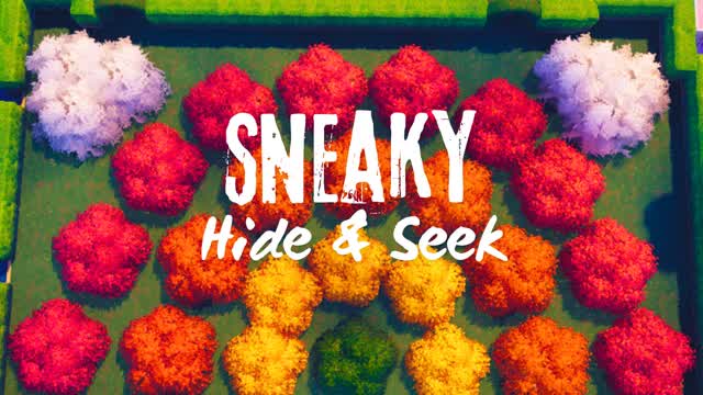 Sneaky Hide and Seek