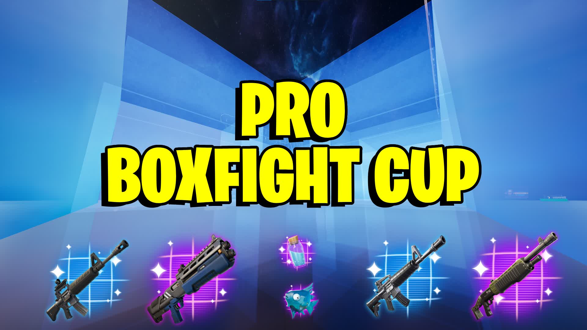 PRO BOXFIGHT CUP