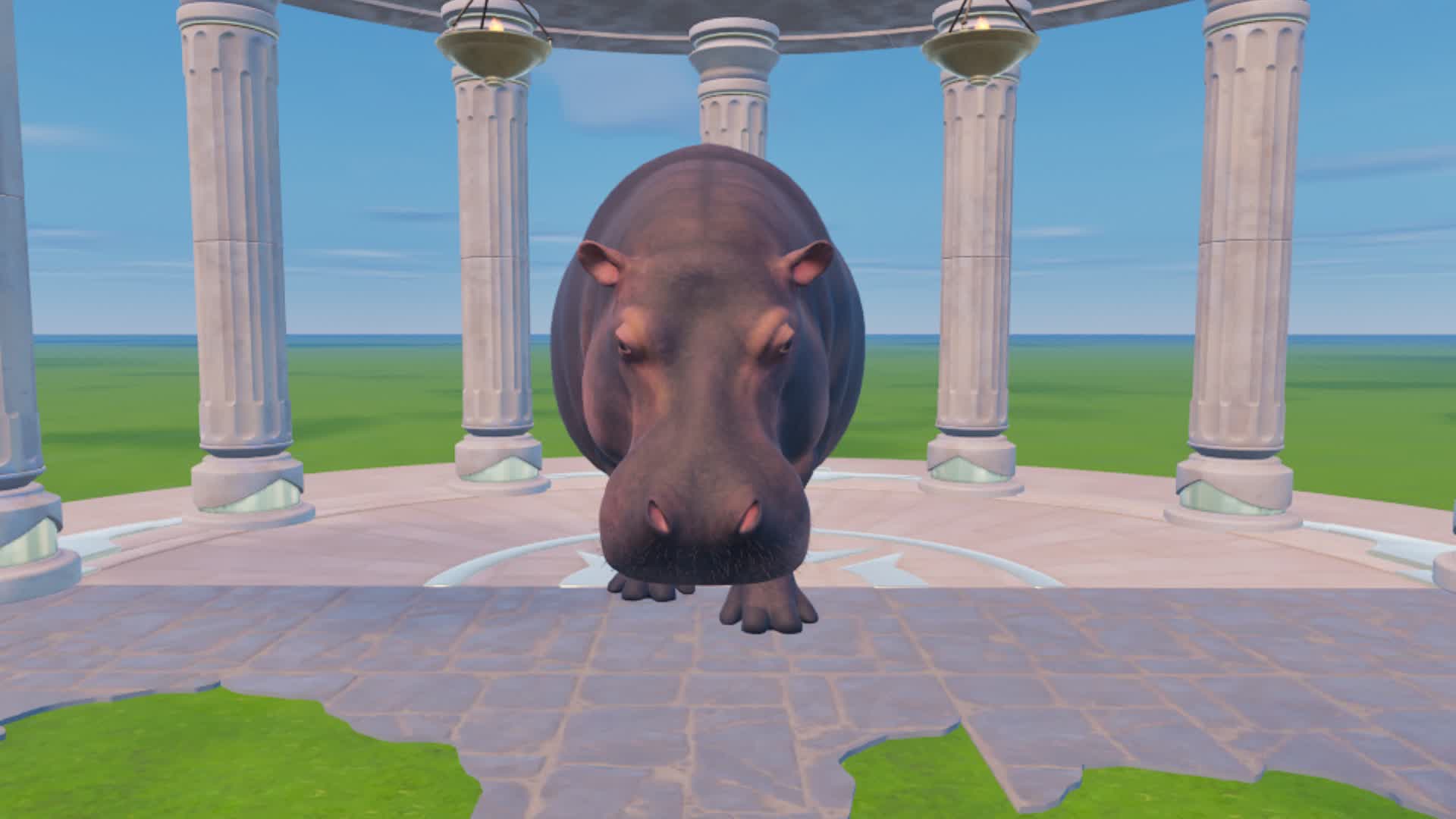 MEET HIPPO