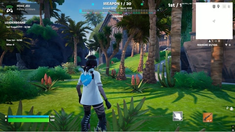 Island image