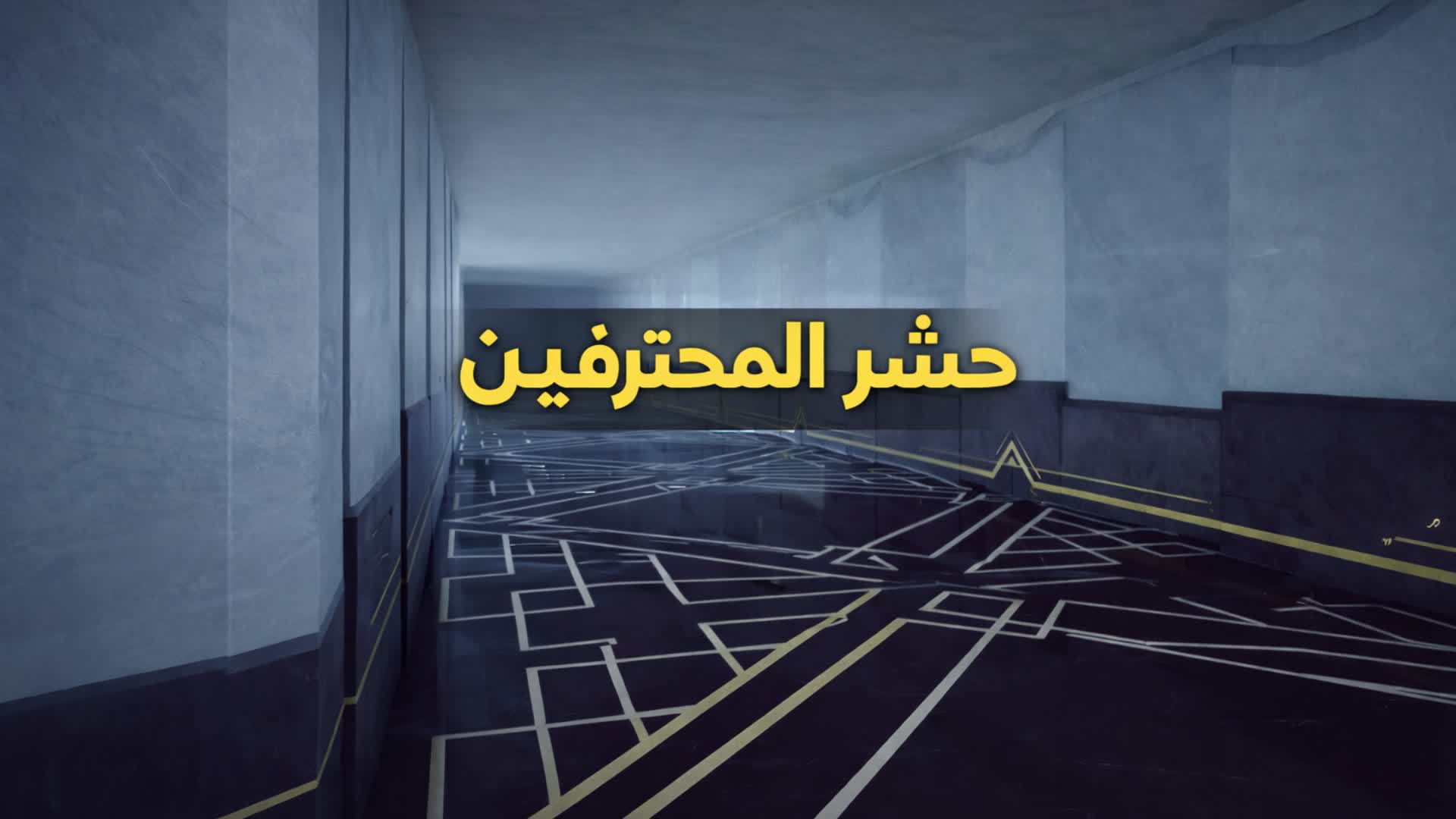 حشر المحترفينPRO