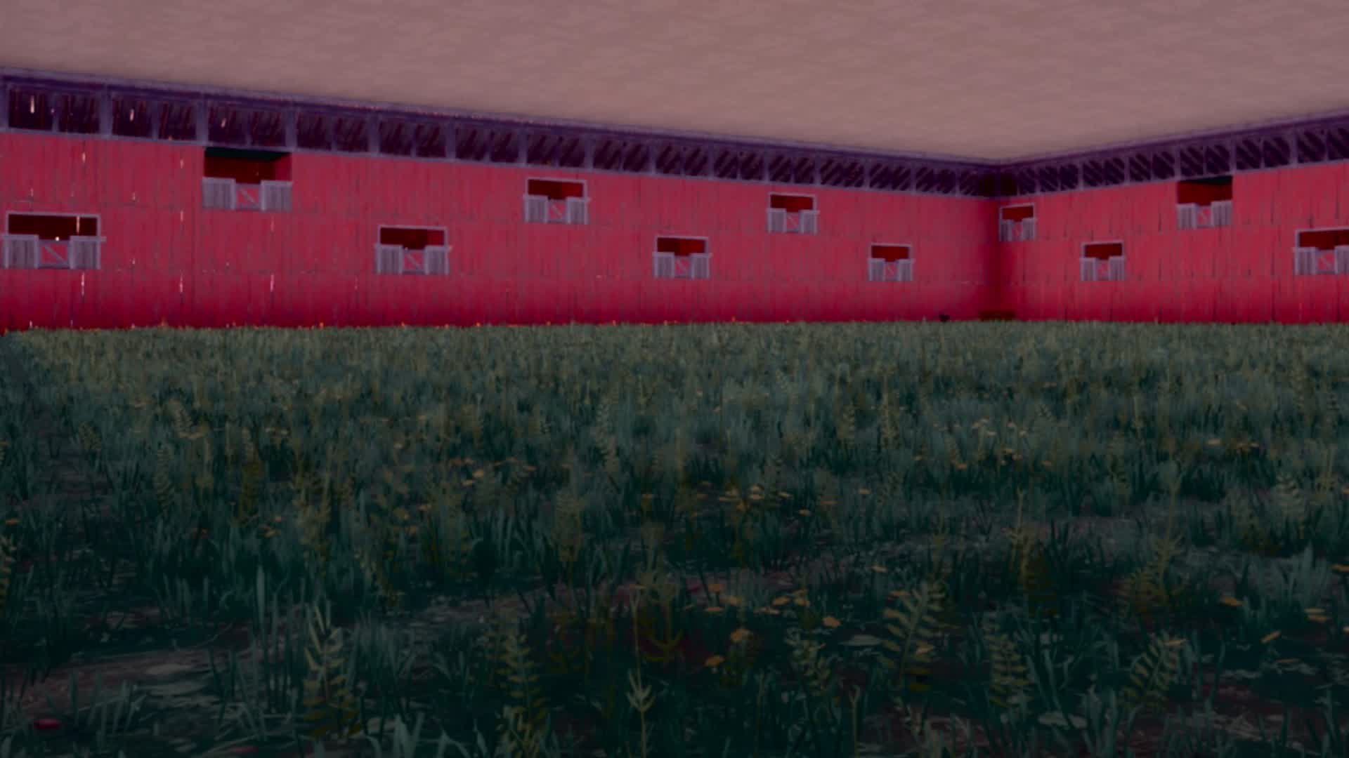 Barn turtle wars