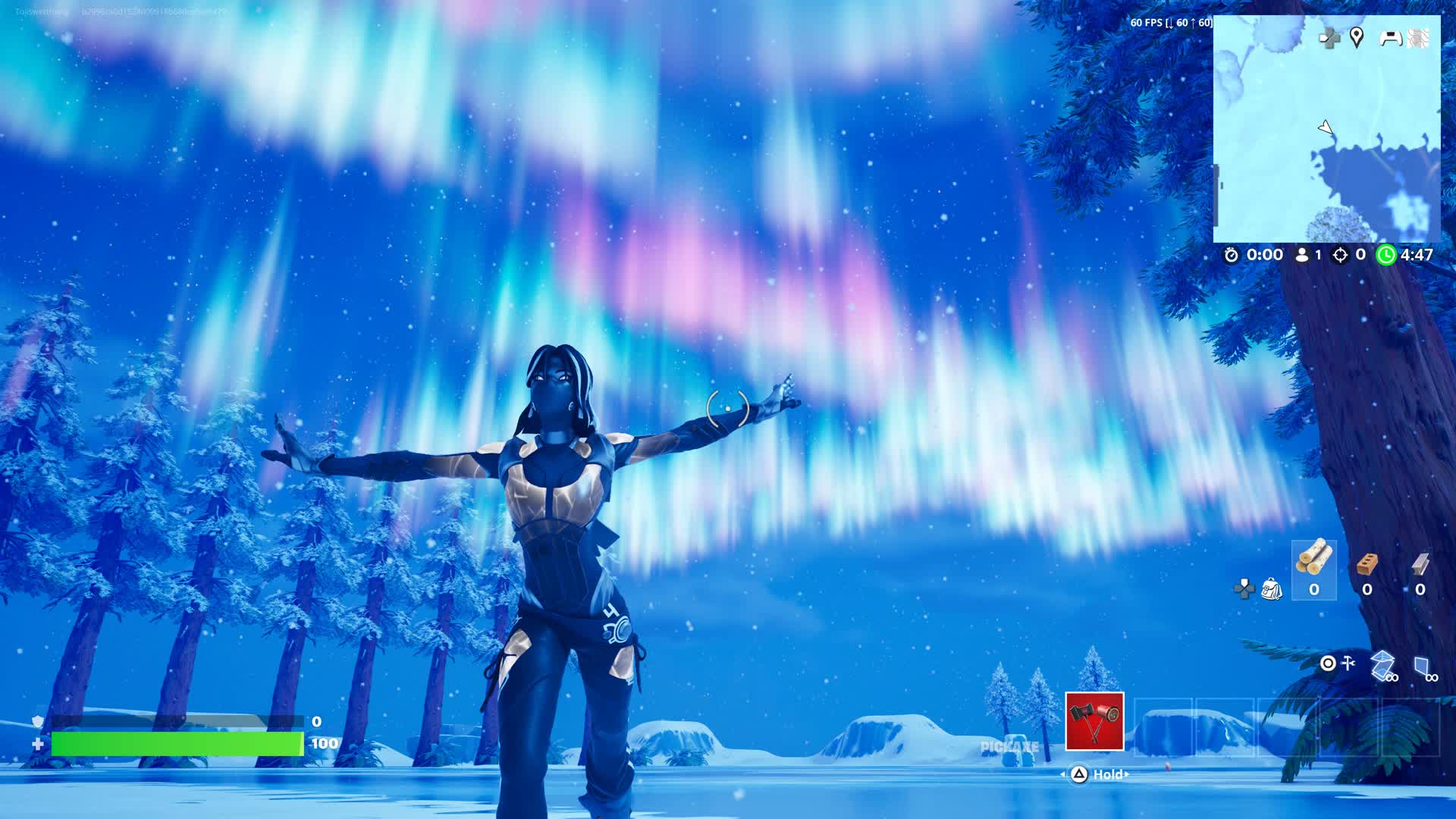 Ice land