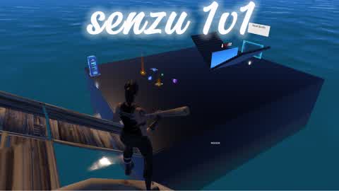 senzu 1v1