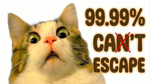 99.99% 😺 CAN'T ESCAPE