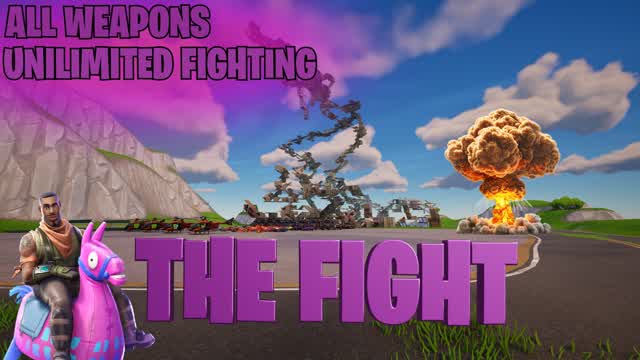 THE FIGHT