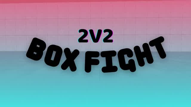 BOX FIGHT 2V2