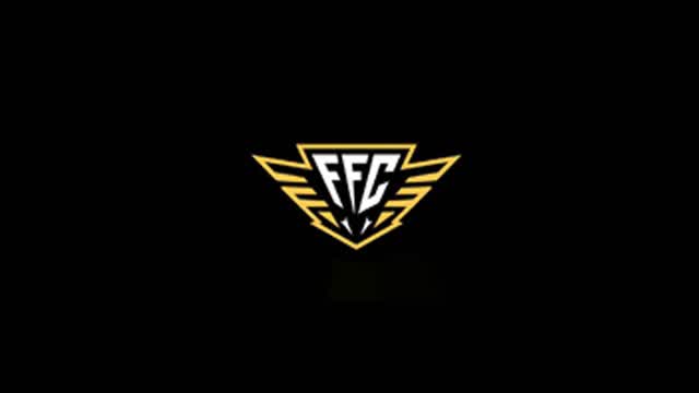 FFC Fighters Records