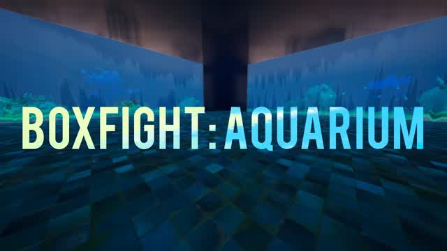Box Fight: Aquarium