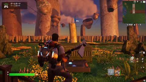Search for the ancient stone pillar!!