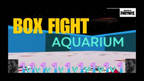 BOXFIGHT AQUARIUM