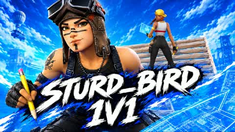 Sturd_Bird 1v1