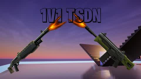 1v1 BUILD FIGHTS [TSDN]