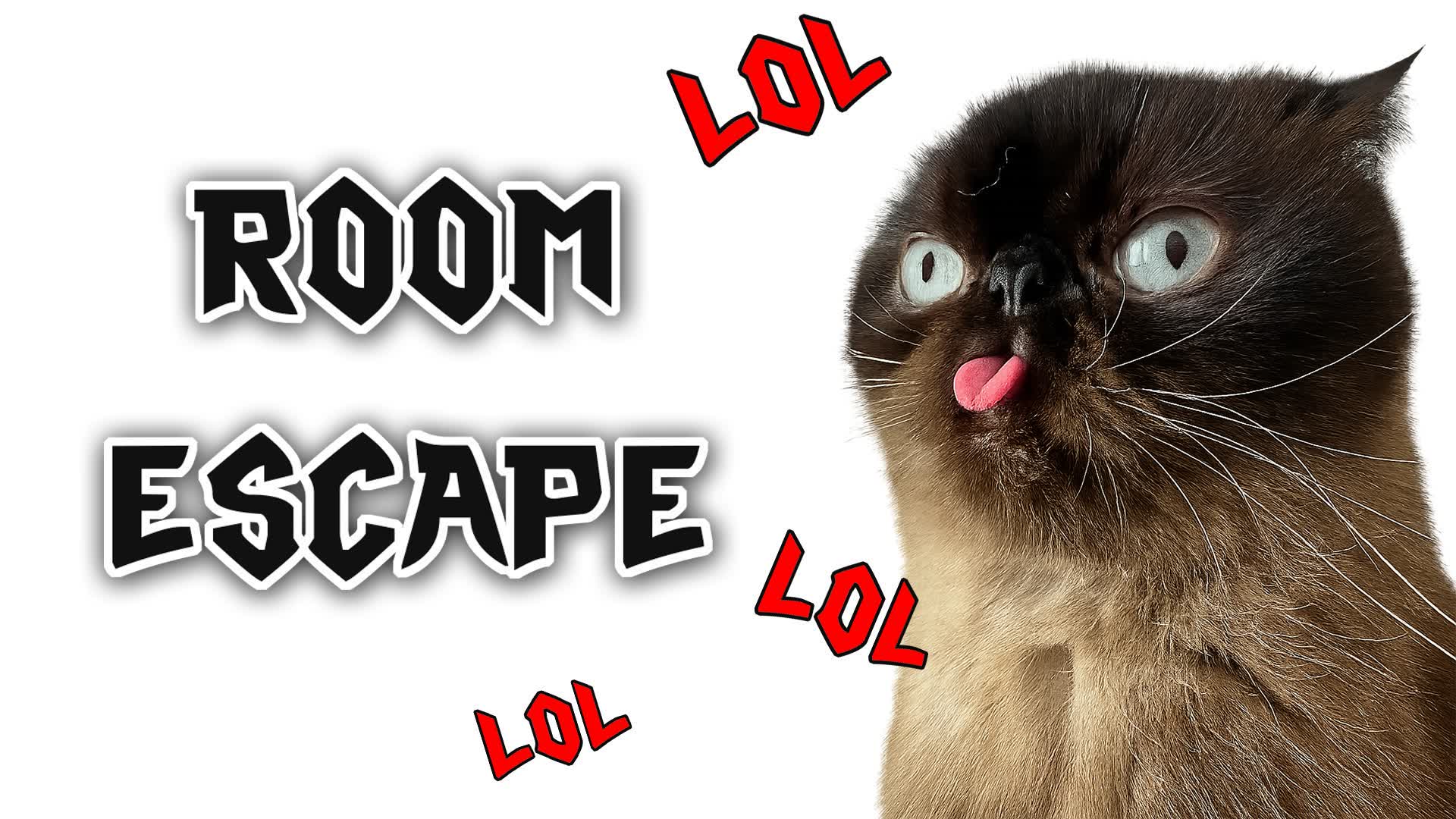 🧠 Crazy Cat IQ Escape Room 🔑