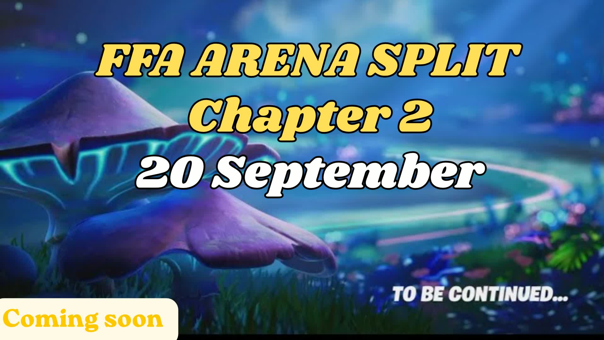 FFA ARENA SPLIT