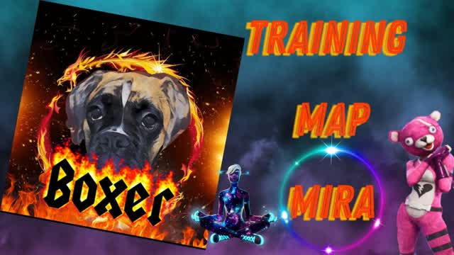 allenamento di boxer