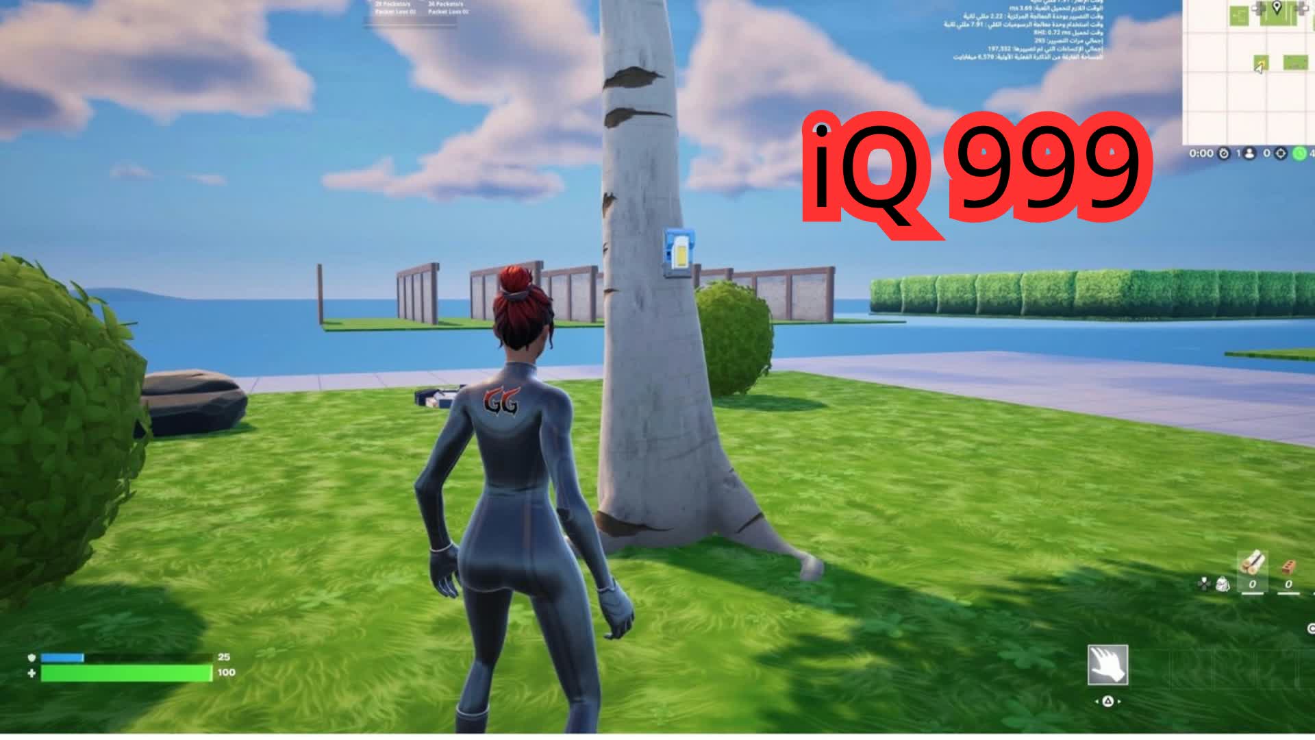 1254-5820-3857