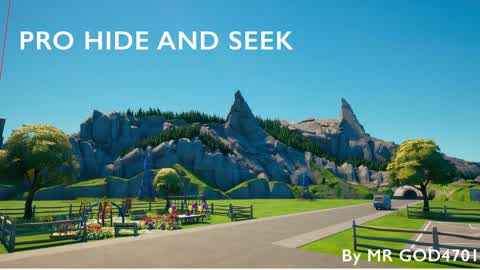 ✔️💥PRO HIDE AND SEEK💥✔️