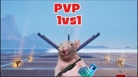 Pvp 1vs1
