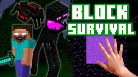 BLOCK SURVIVAL
