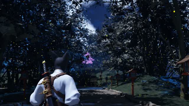 Night Island