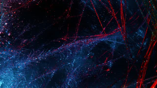 Capture 1 – OG RED VS BLUE