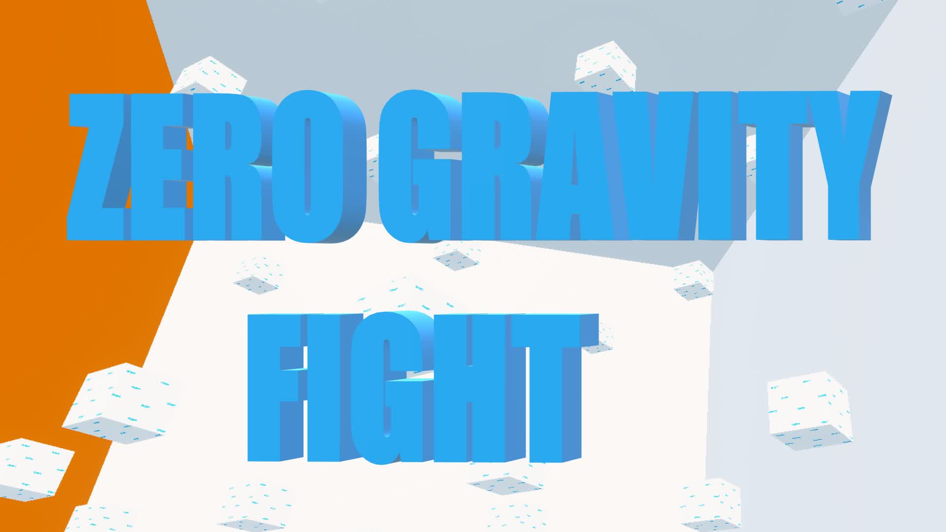 ZERO GRAVITY FIGHT