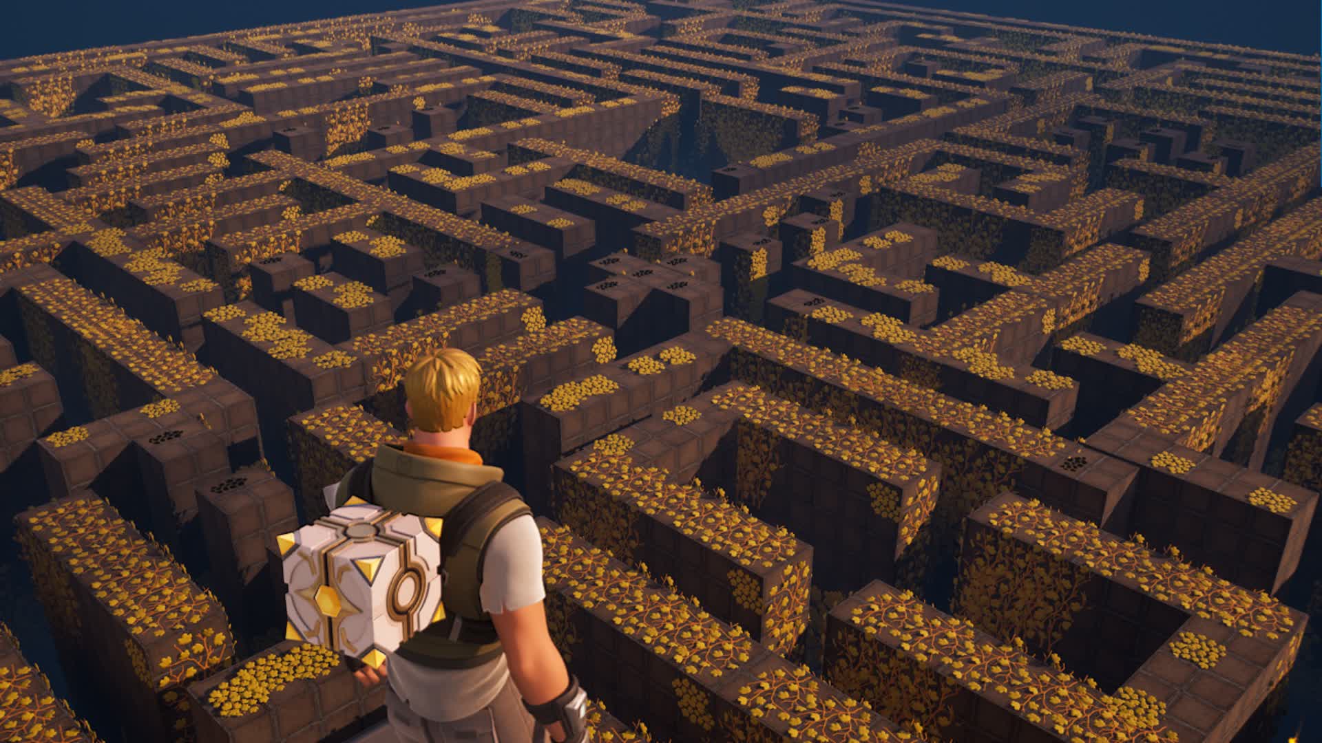 Maze Gunner