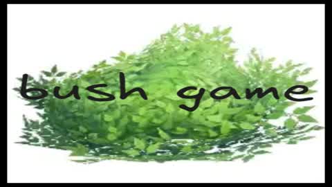 Bush Royale
