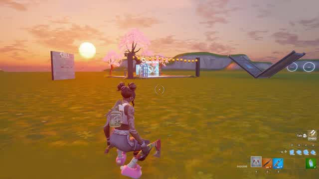 BOX FIGHT 1 VS 1