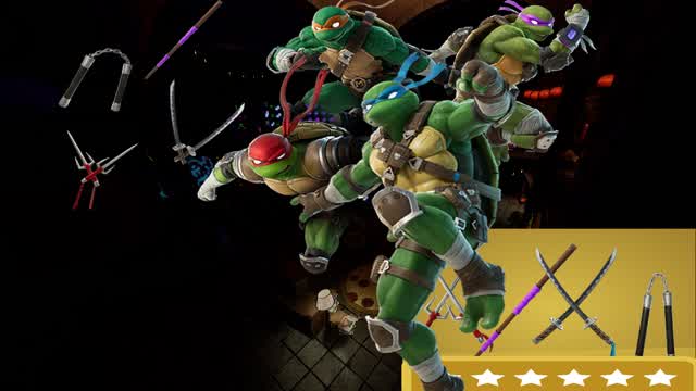 Turtle's fight