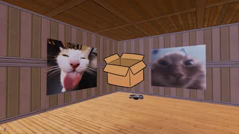 catmeme boxfight