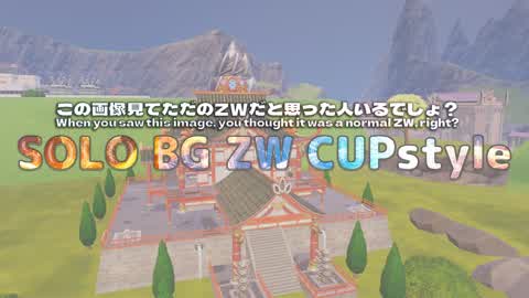 SOLO BG ZW CUPstyle