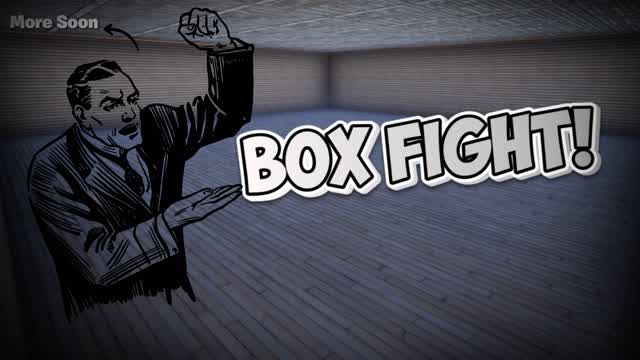 BOX FIGHT