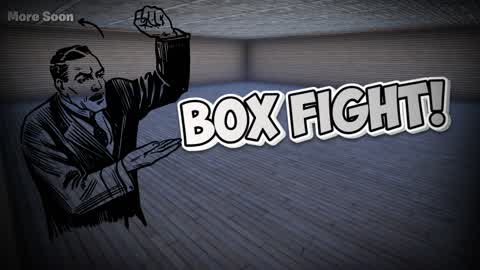 BOX FIGHT