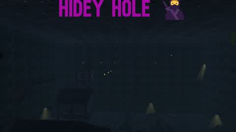 HIDEY HOLE 🕳️
