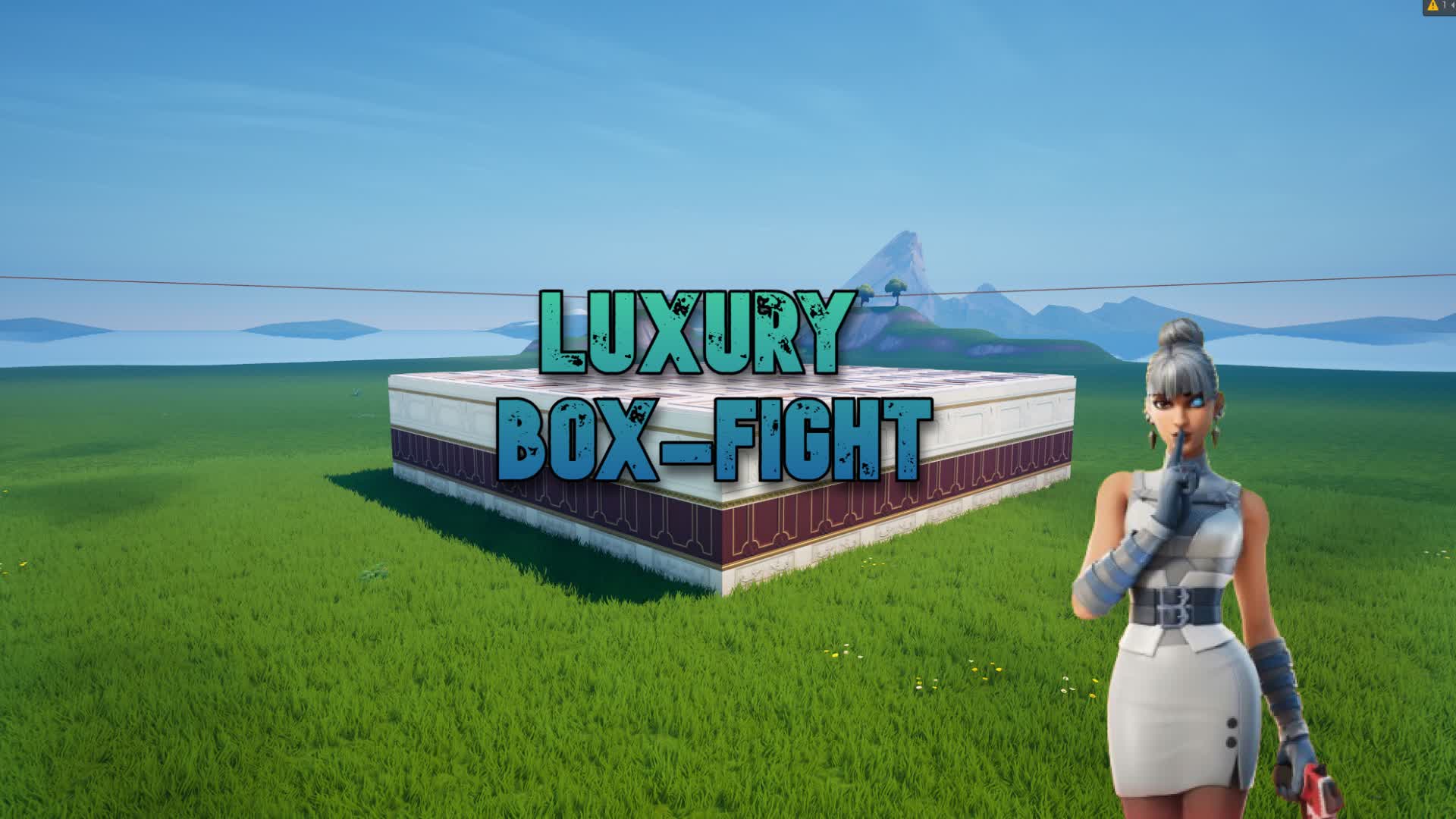 Luxury box fight
