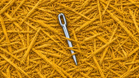 FIND A NEEDLE IN A HAY STACK