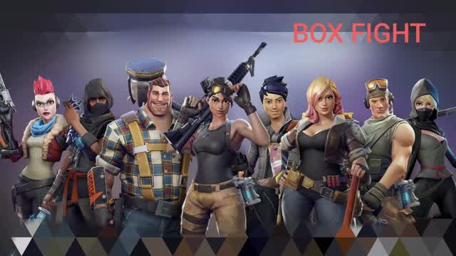 Box fight