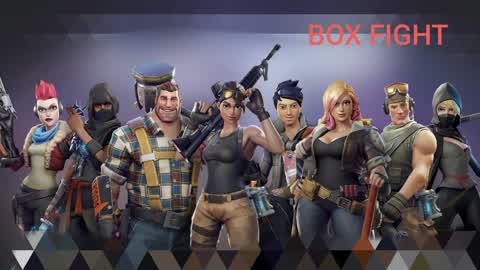 Box fight