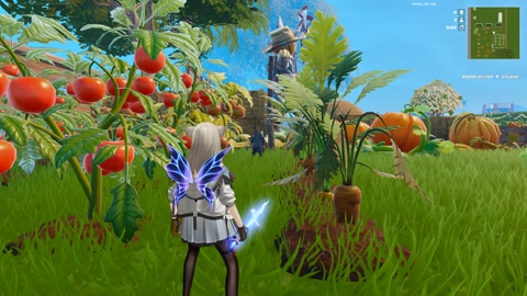 Island image