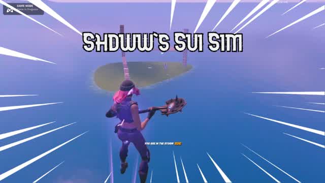 Capture 1 – ShdwwSuiSim