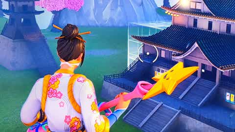 Japan 2v2v2