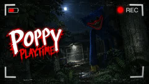 đ¸ď¸MIDNIGHT POPPY TOYBOX REBELLIONđł